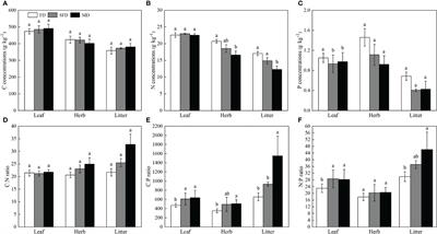 C:N:P stoichiometry in plant, soil and microbe in Sophora moorcroftiana shrubs across three sandy dune types in the middle reaches of the Yarlung Zangbo River